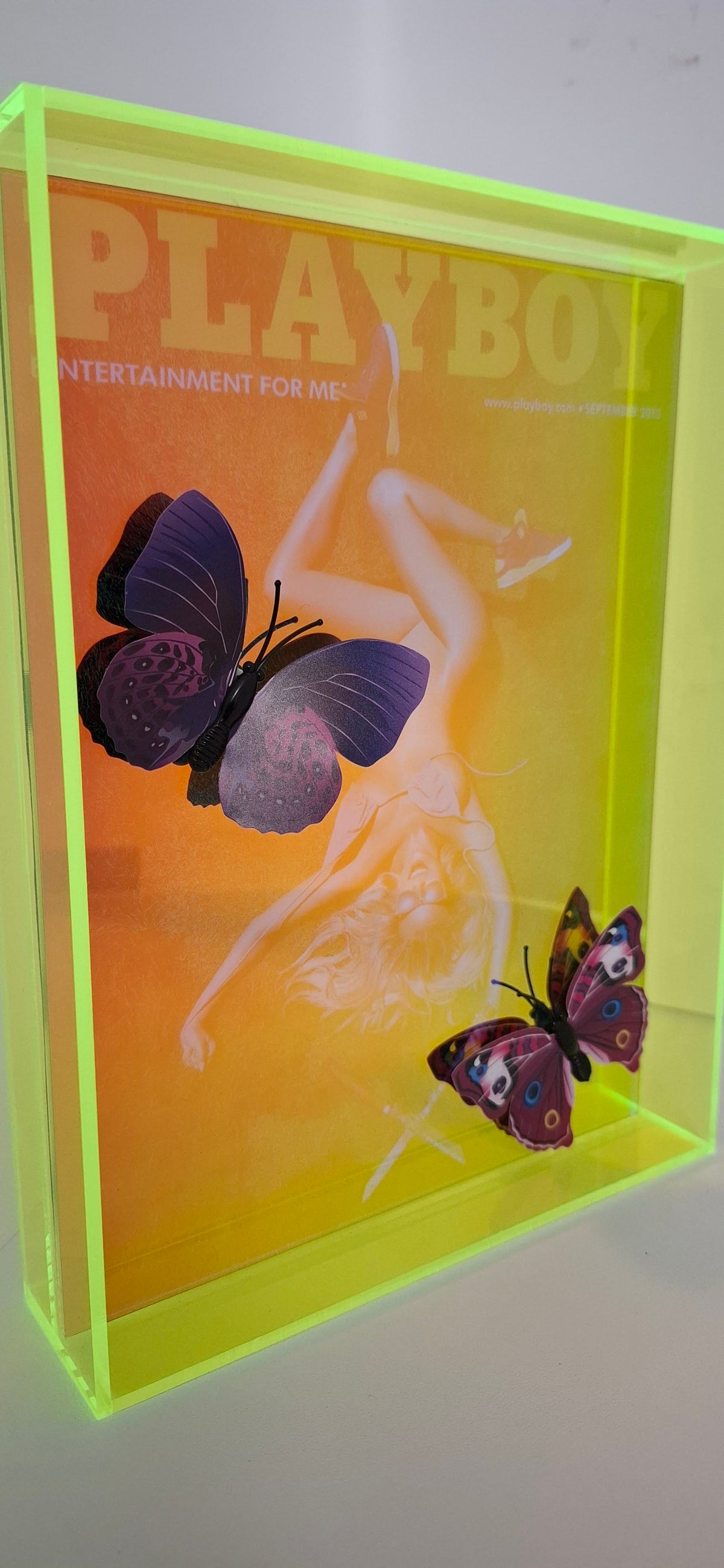 Butterfly Play Boy