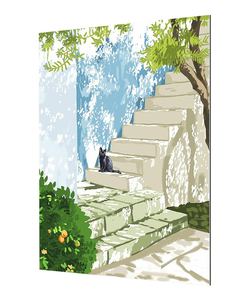 83 Oranges - Cat In The Shade