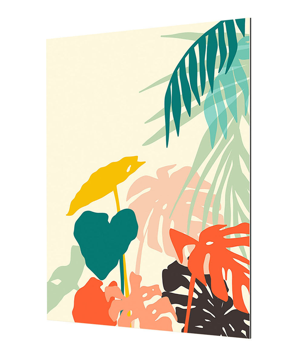 83 Oranges - Tropical Nature