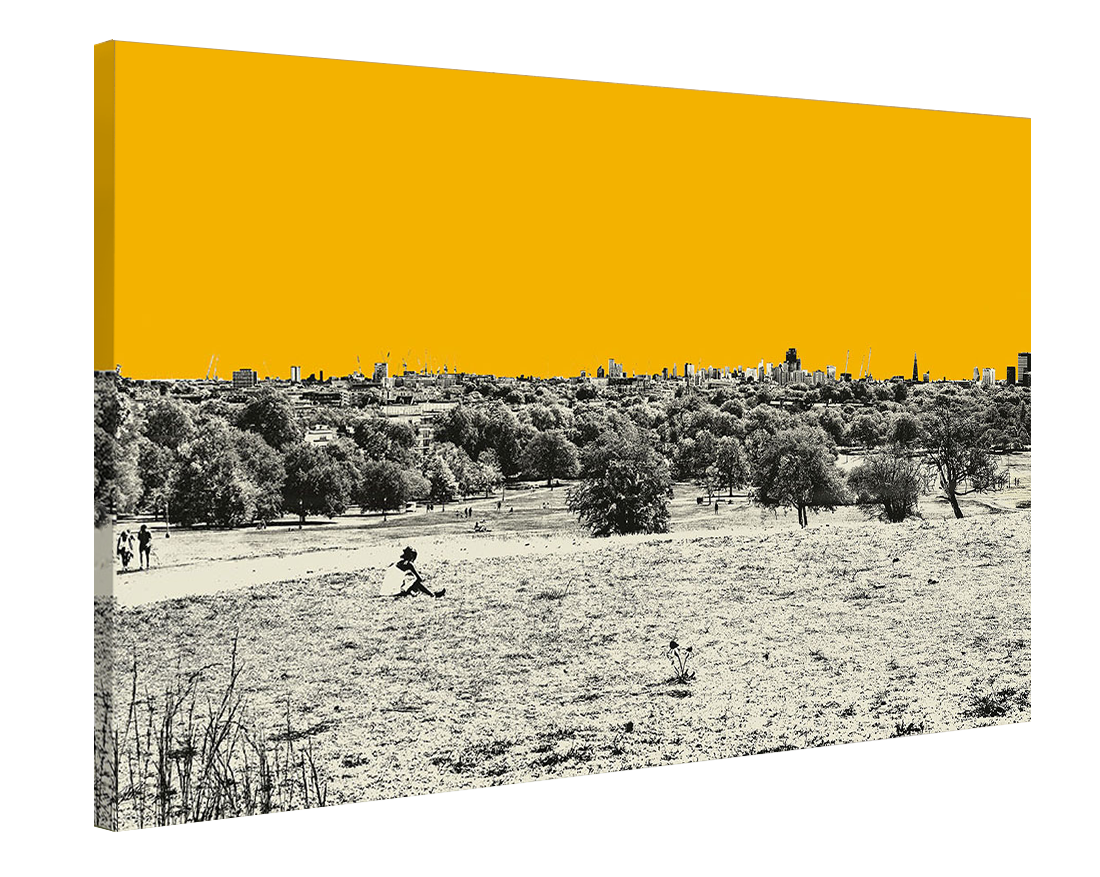 Jayson Lilley - Primrose Hill London