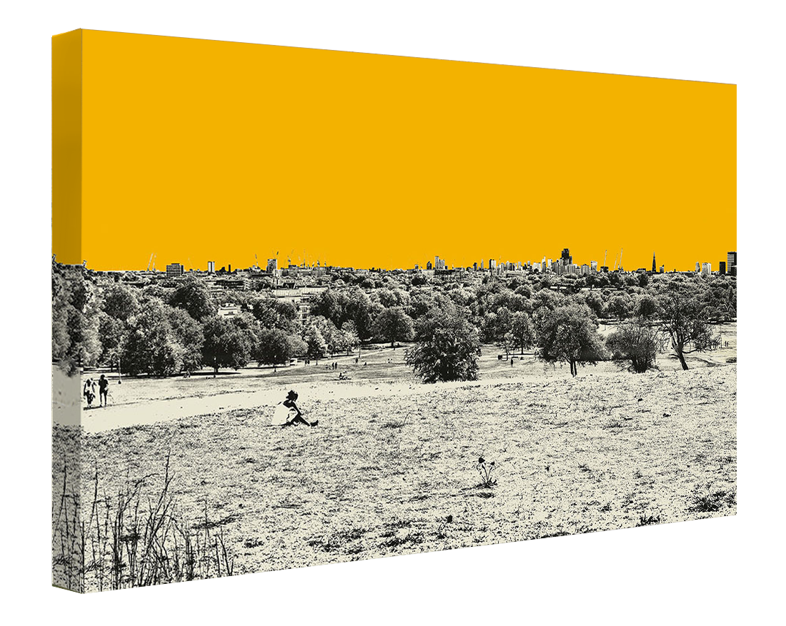 Jayson Lilley - Primrose Hill London