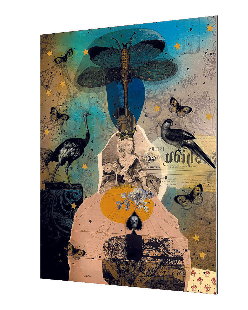 Pascal Bouchet Spiegel - Mme Delavolière