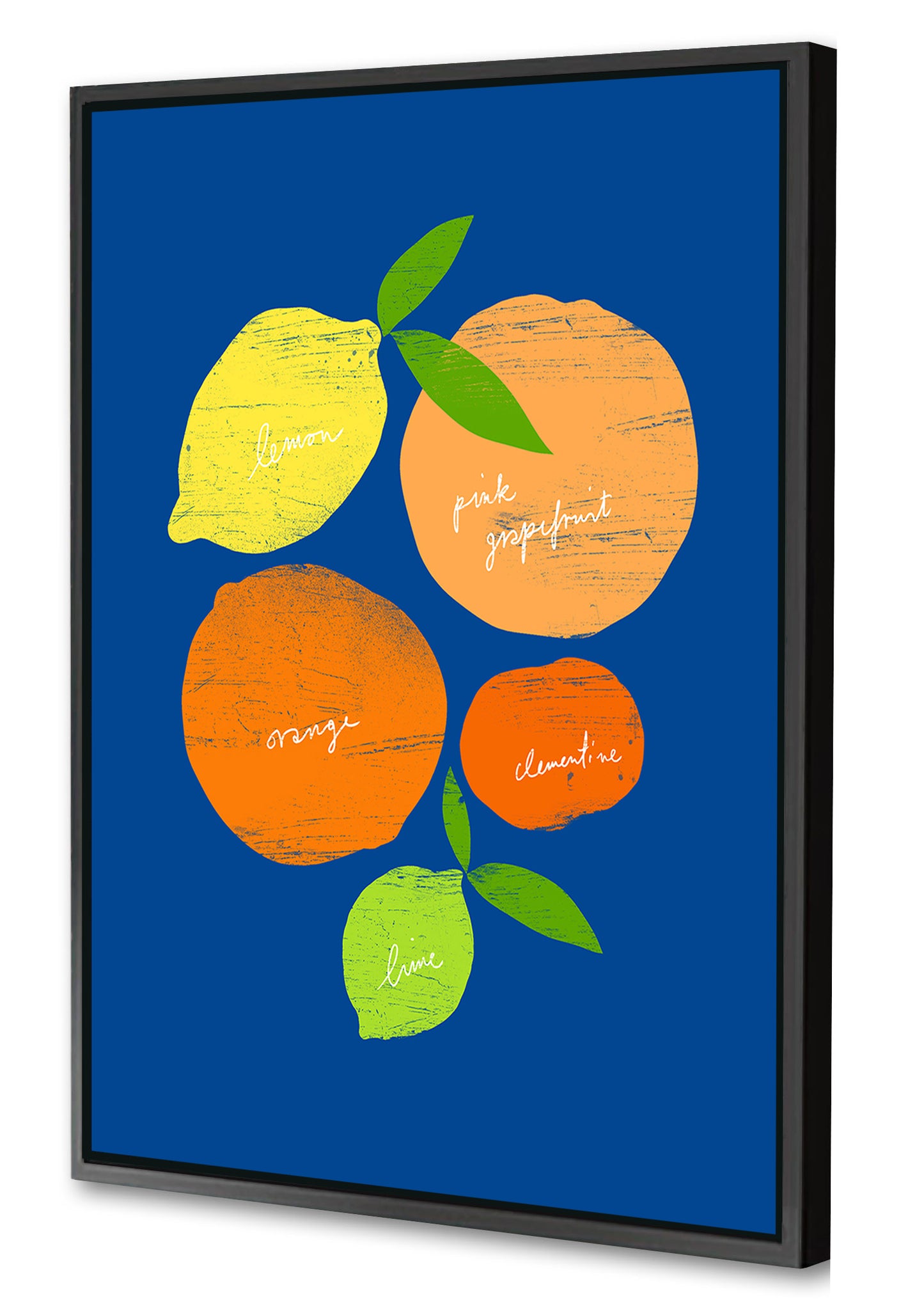 Ana Zaja Petrak - Citrus Blue