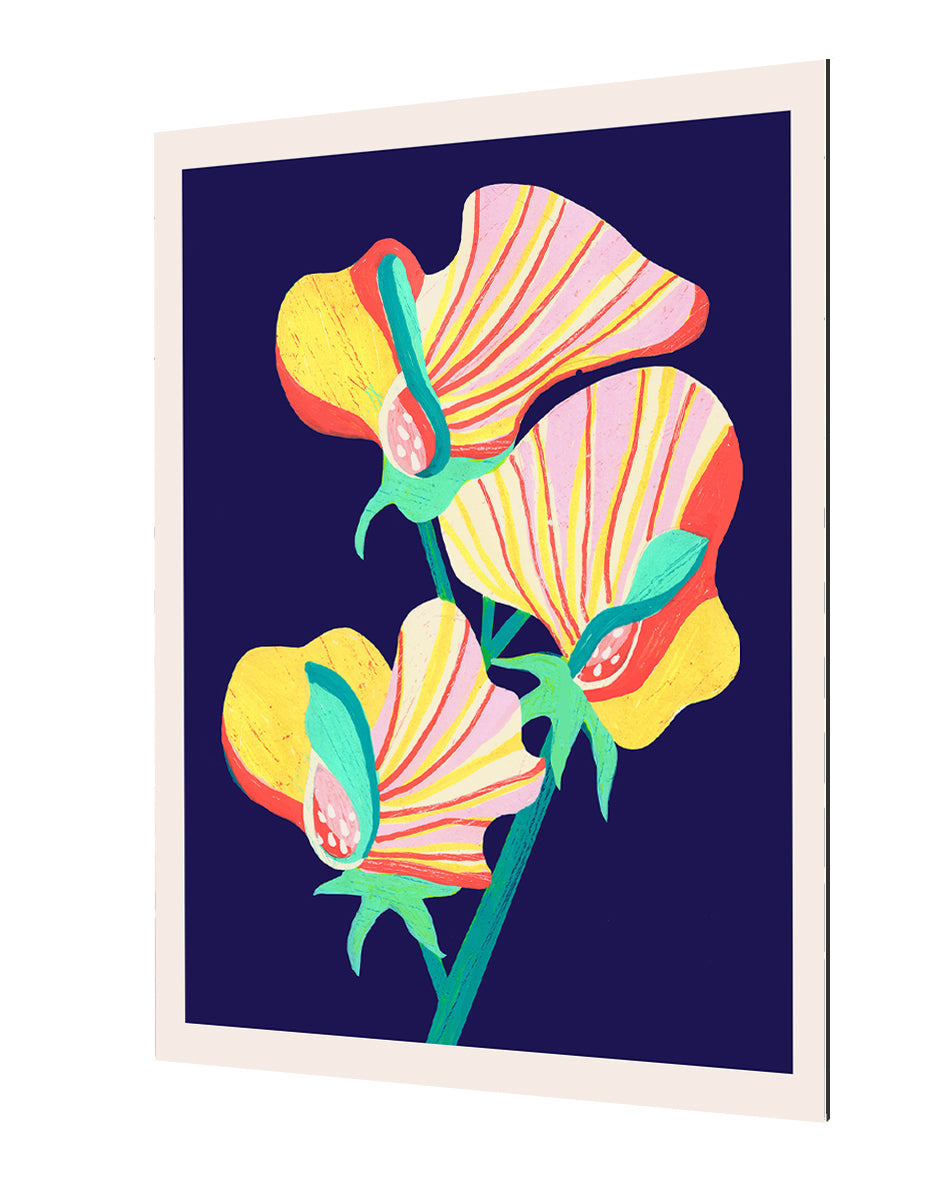 Ana Zaja Petrak - Fleurs Dark