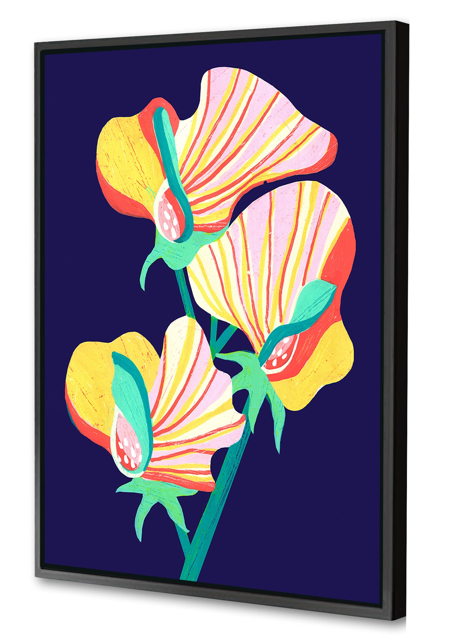 Ana Zaja Petrak - Fleurs Dark