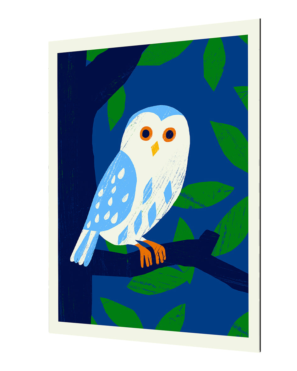 Ana Zaja Petrak - Owl Day