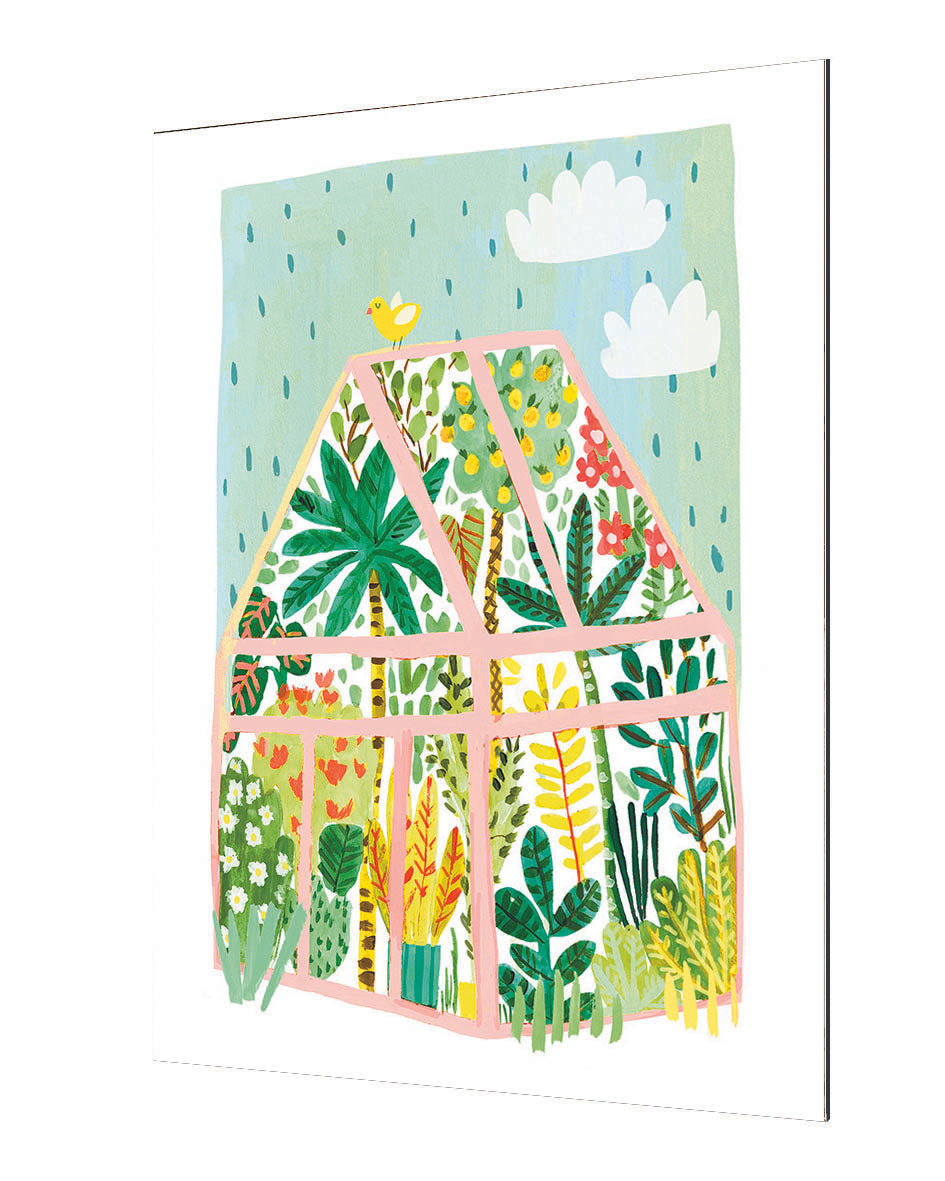 Darcie Olley - Greenhouse