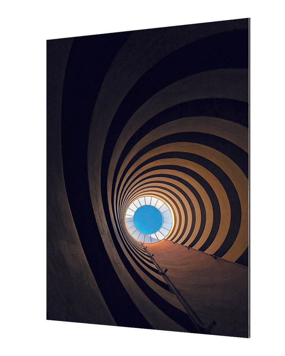 Francisco Ortega Garrido - Bs8