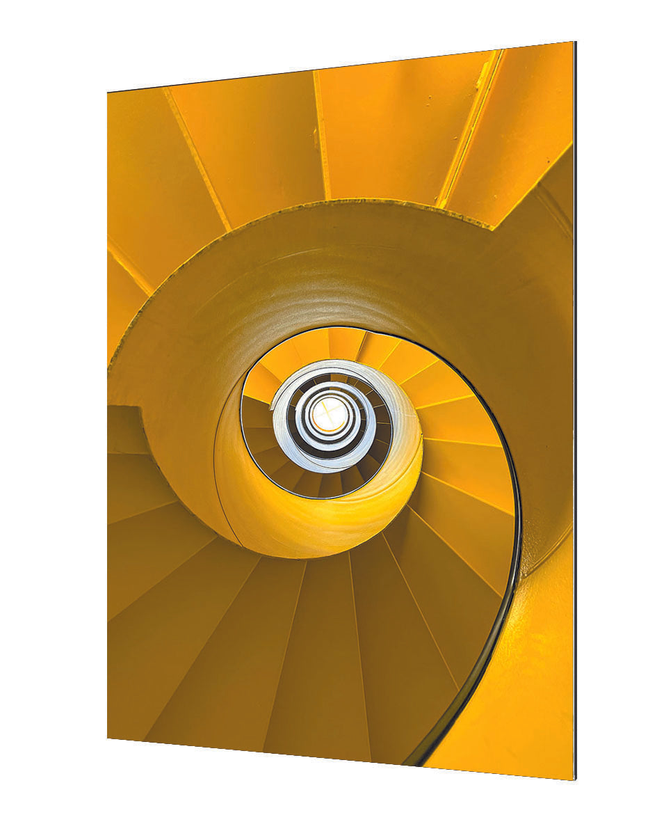 Francisco Ortega Garrido - Bs9