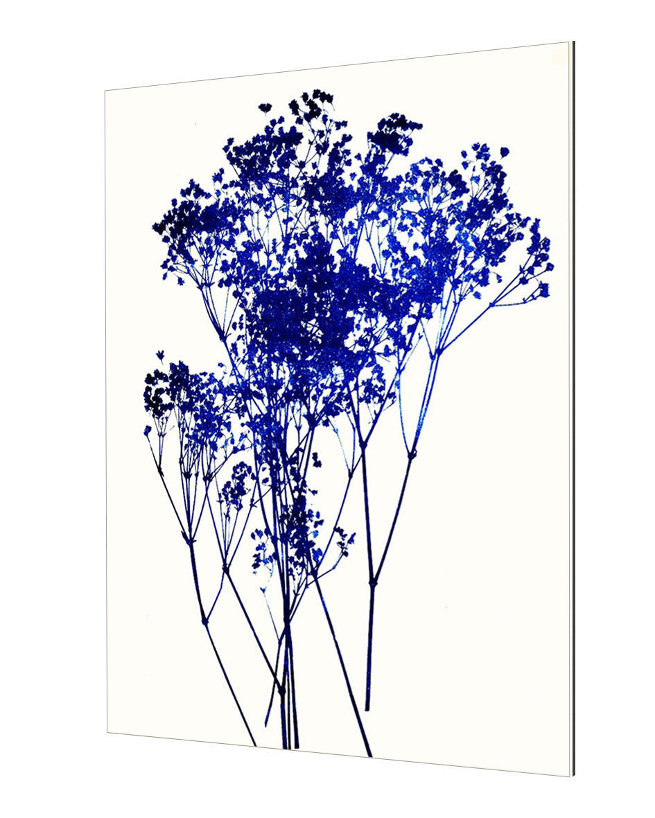 Garima Dhawan - Baby Breath 1