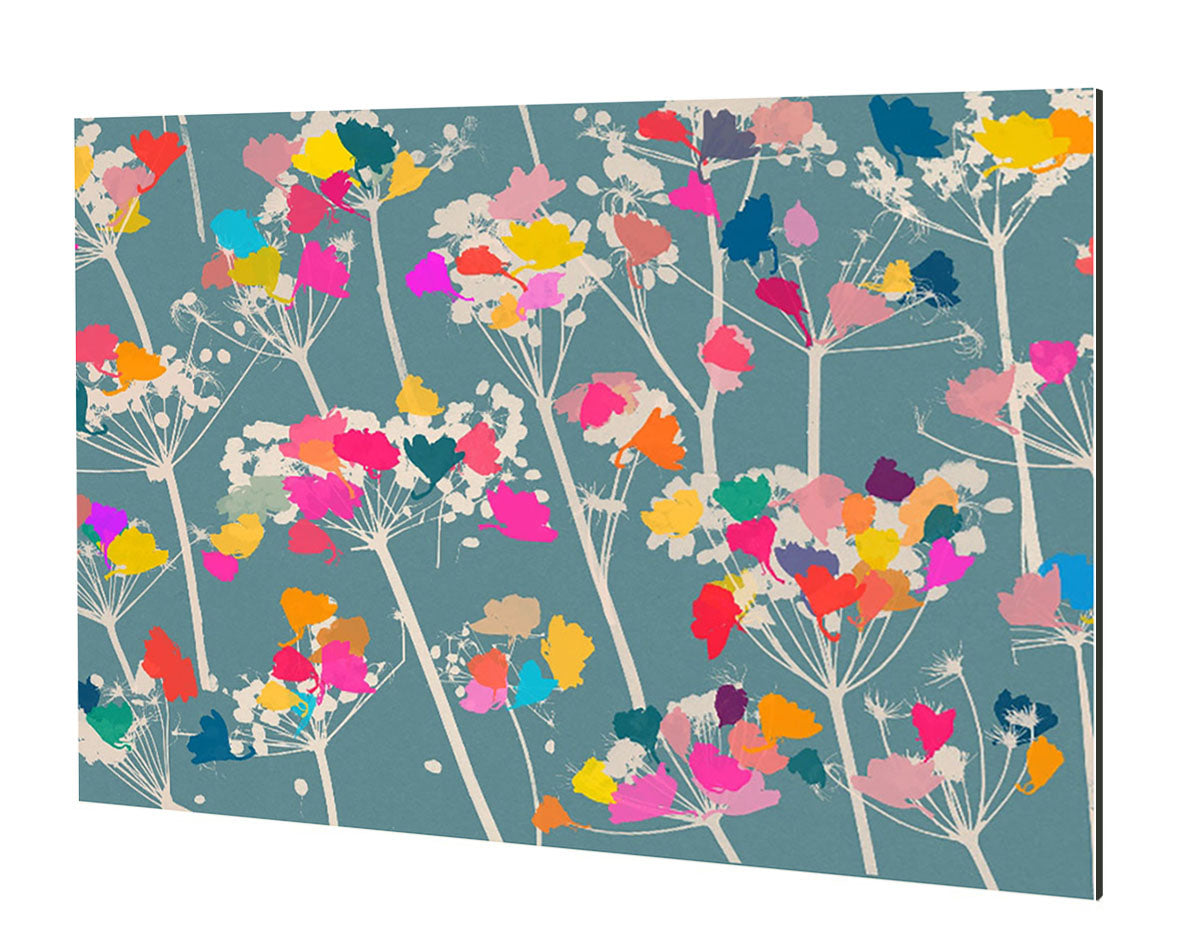 Garima Dhawan - Cow Parsley 1