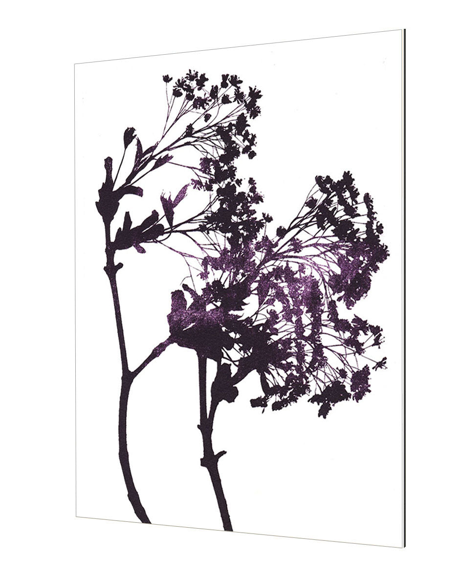 Garima Dhawan - Maple 1