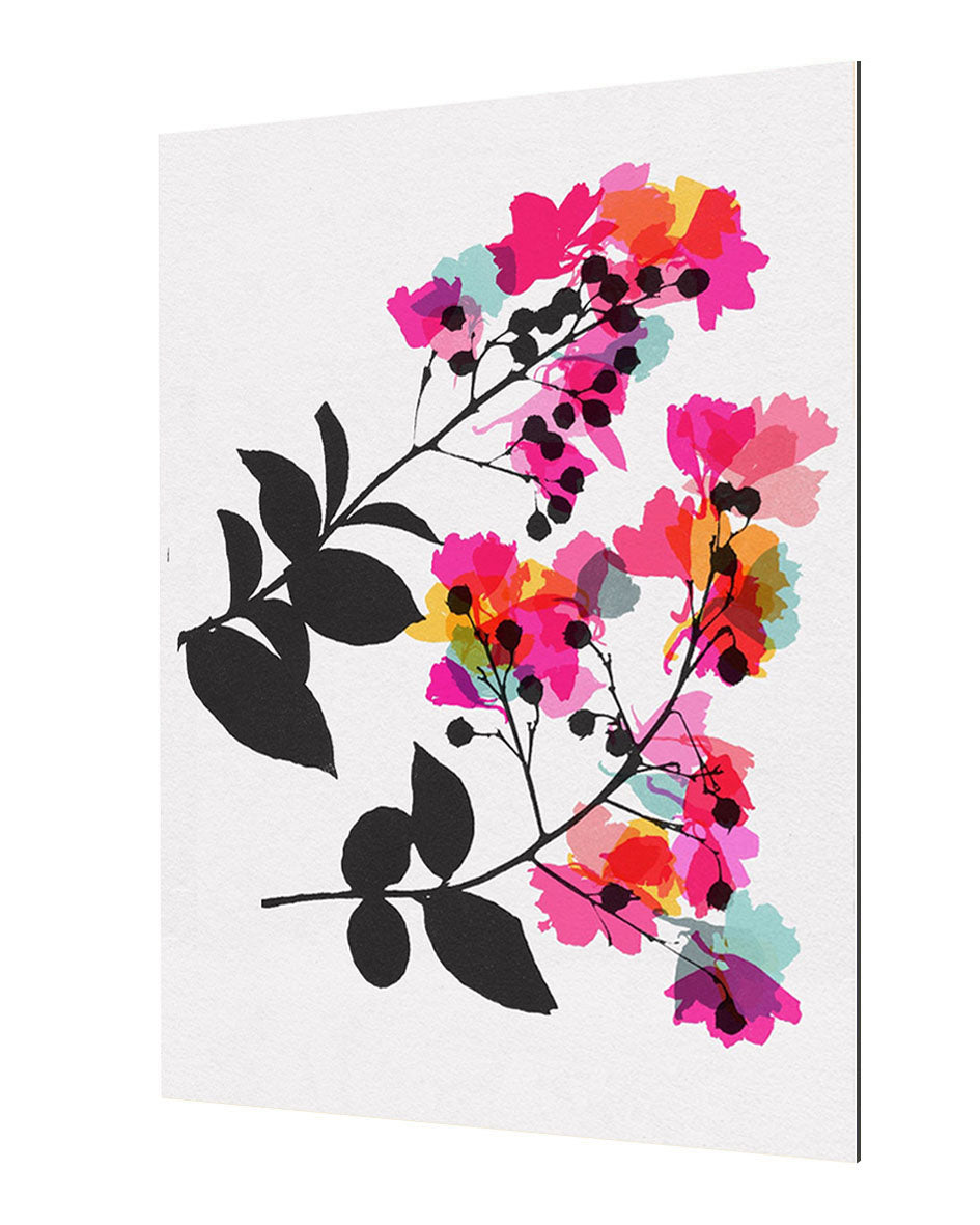 Garima Dhawan - Myrtle 4