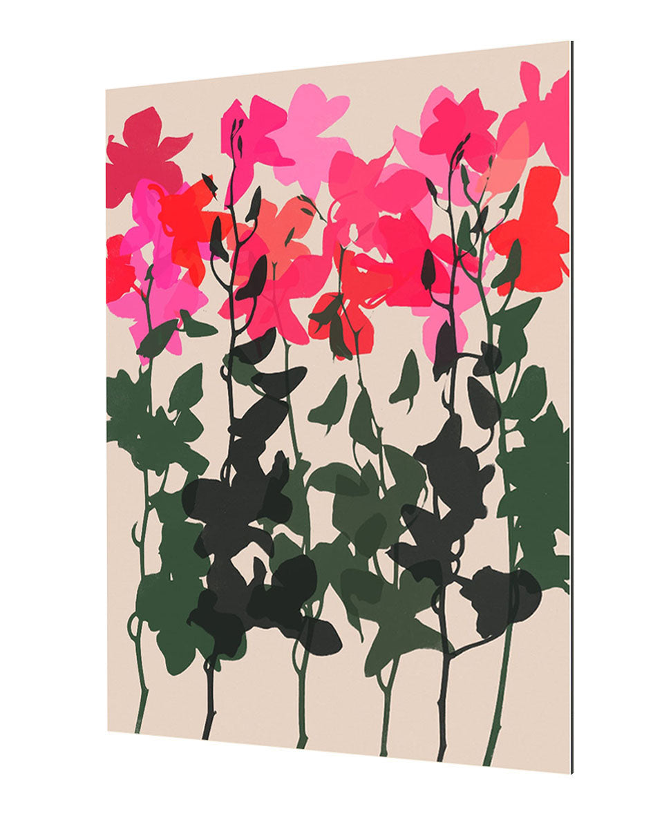 Garima Dhawan - Orchids 14