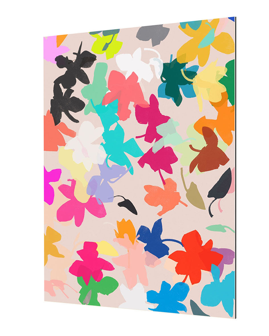 Garima Dhawan - Orchids 1