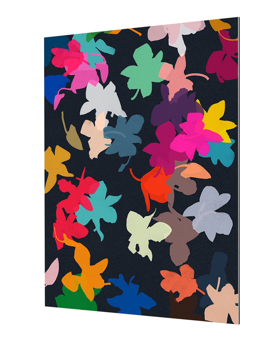 Garima Dhawan - Orchids 4