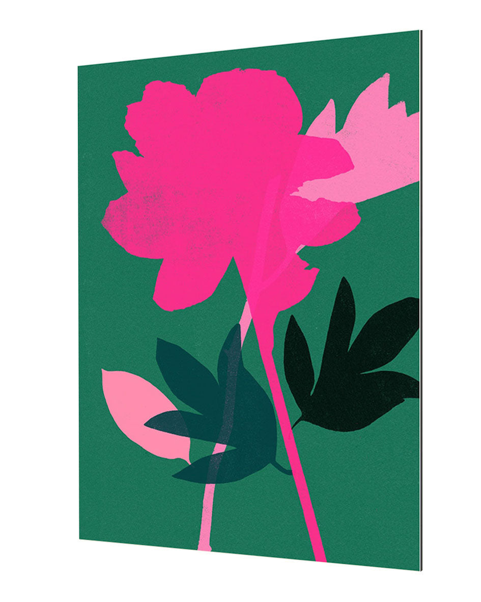 Garima Dhawan - Peony 3