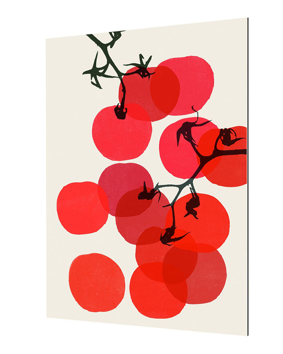 Garima Dhawan - Tomatoes 1