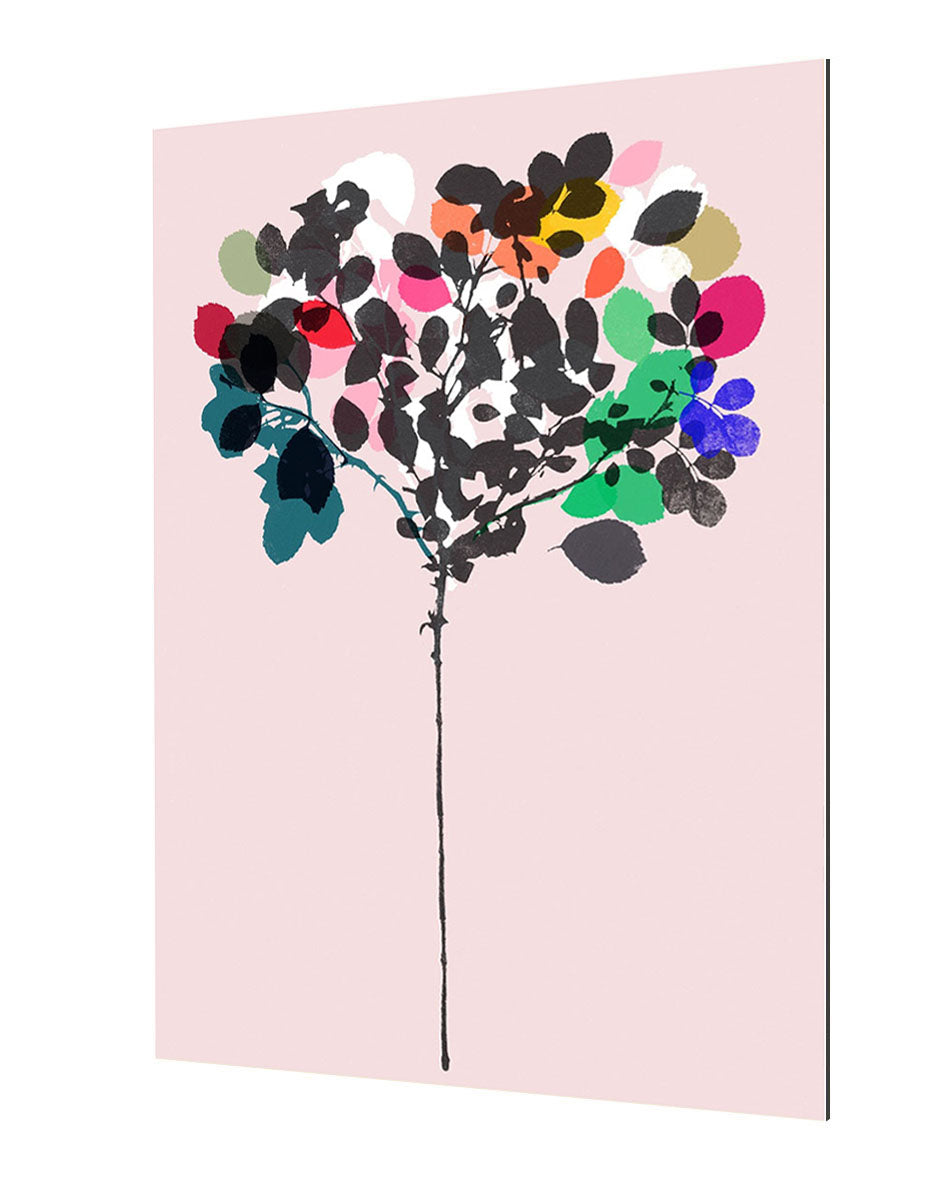 Garima Dhawan - Wildrose 6