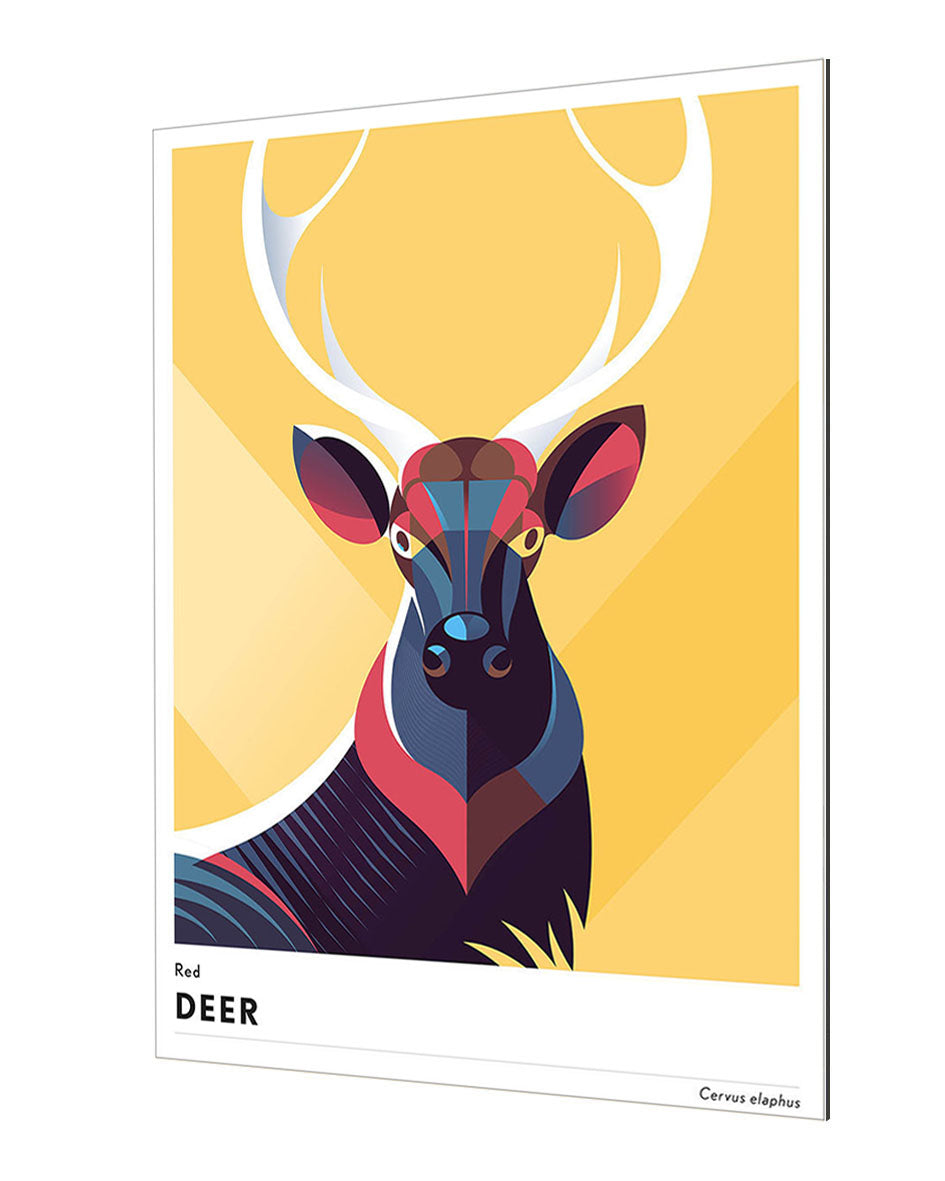 Mark Harrison - Animal Deer