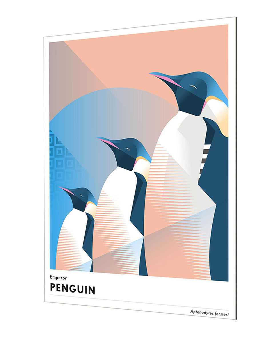Mark Harrison - Animal Penguin