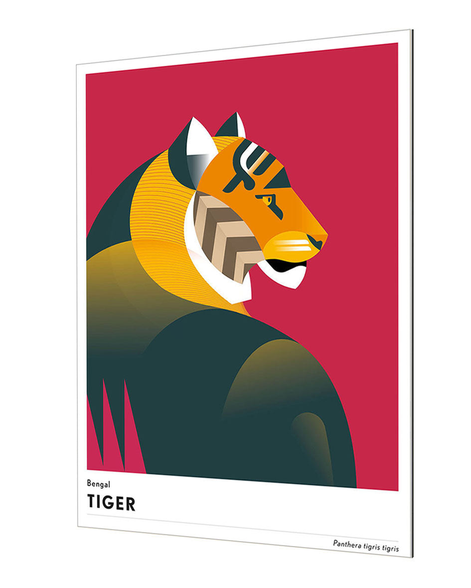 Mark Harrison - Animal Tiger