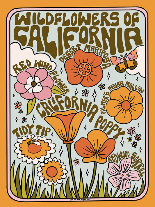 Meghan Wallace -  California Wildflowers