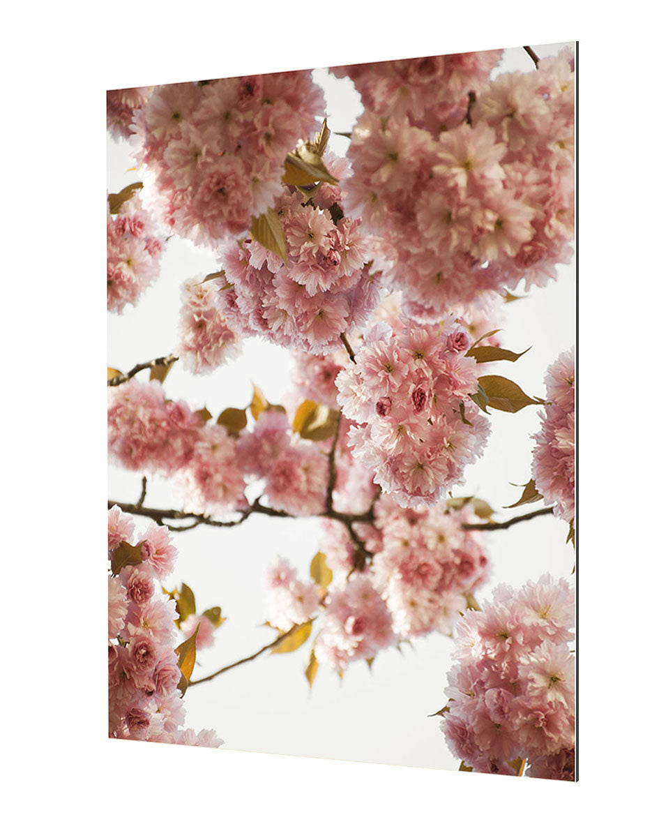 Studio Nahili - Blush Spring Love