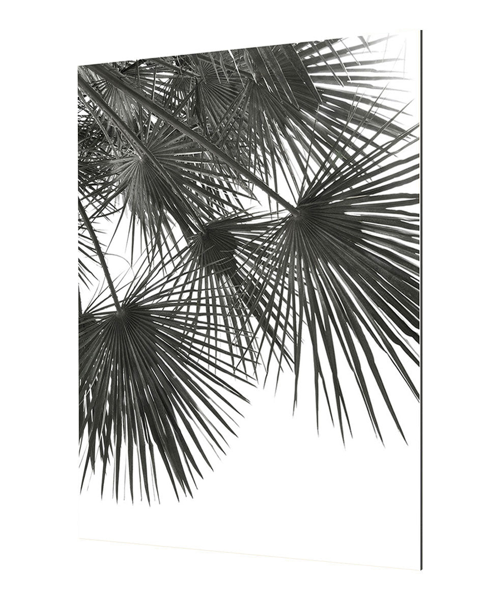 Studio Nahili - Endless Summer Wind