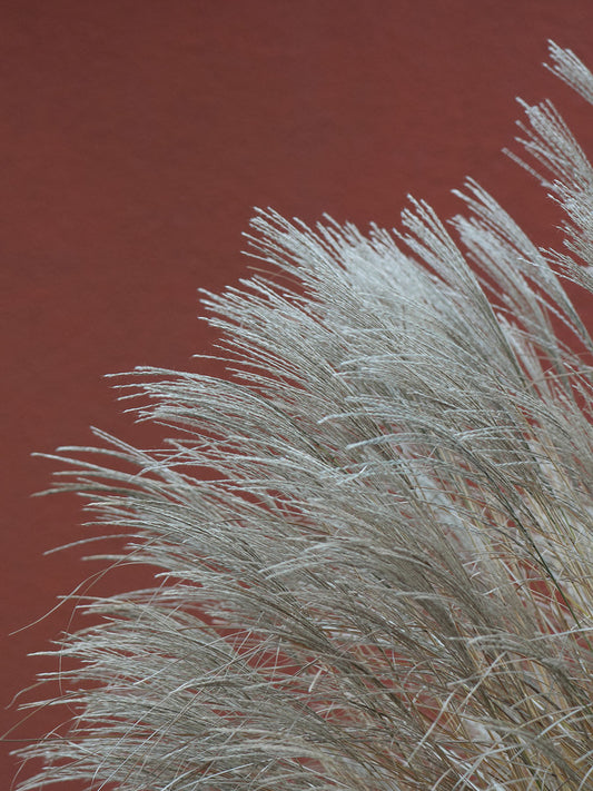 Studio Nahili -  Grasses In The Wind Terracotta