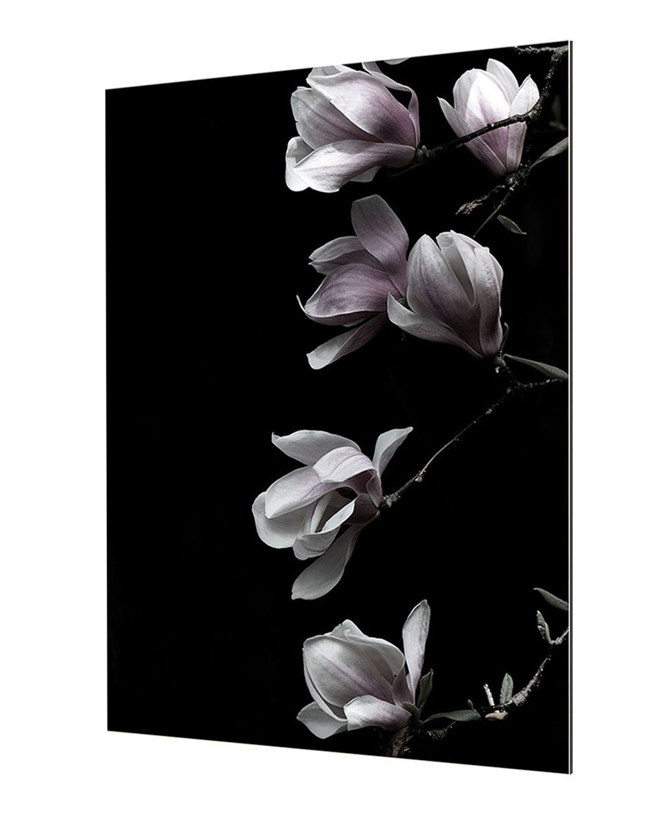 Studio Nahili - Magnolia On Black