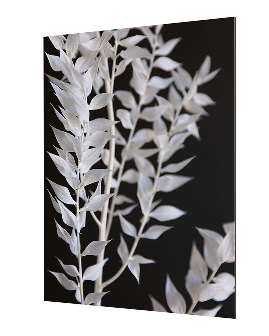 Studio Nahili - Minimal Black and White Branch