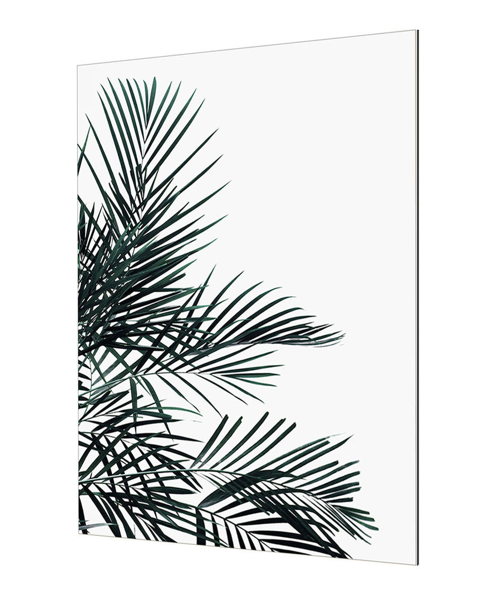 Studio Nahili - Minimal Palm Leaf