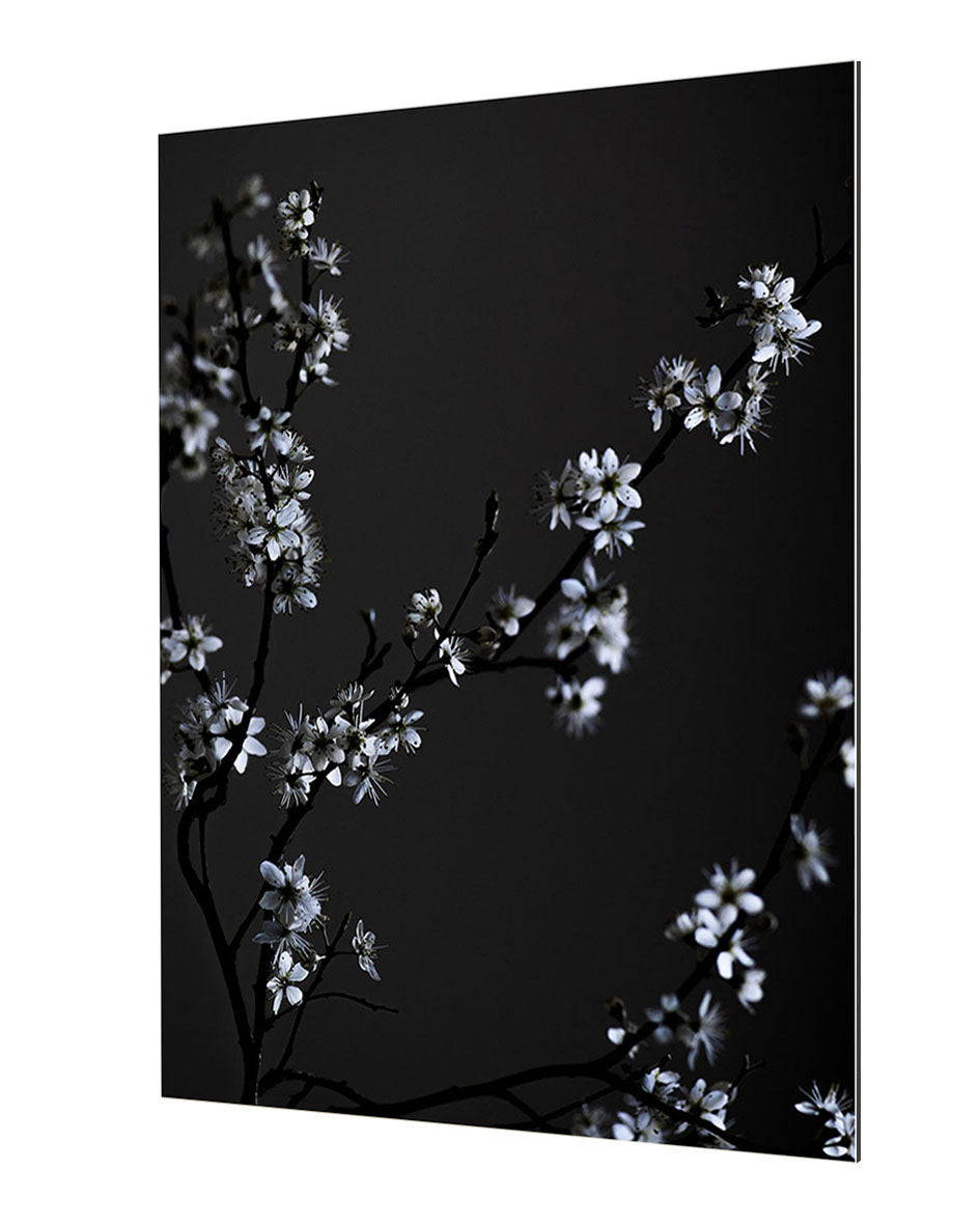 Studio Nahili - Moody Flower Beauty