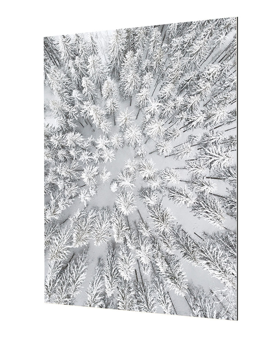 Studio Nahili - Snowy Forests