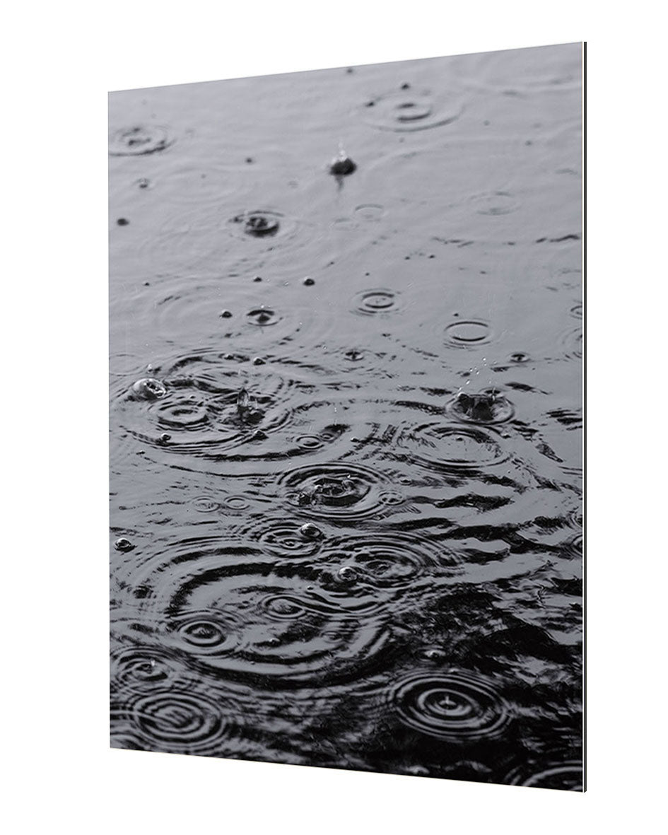 Studio Nahili - Summer Rain