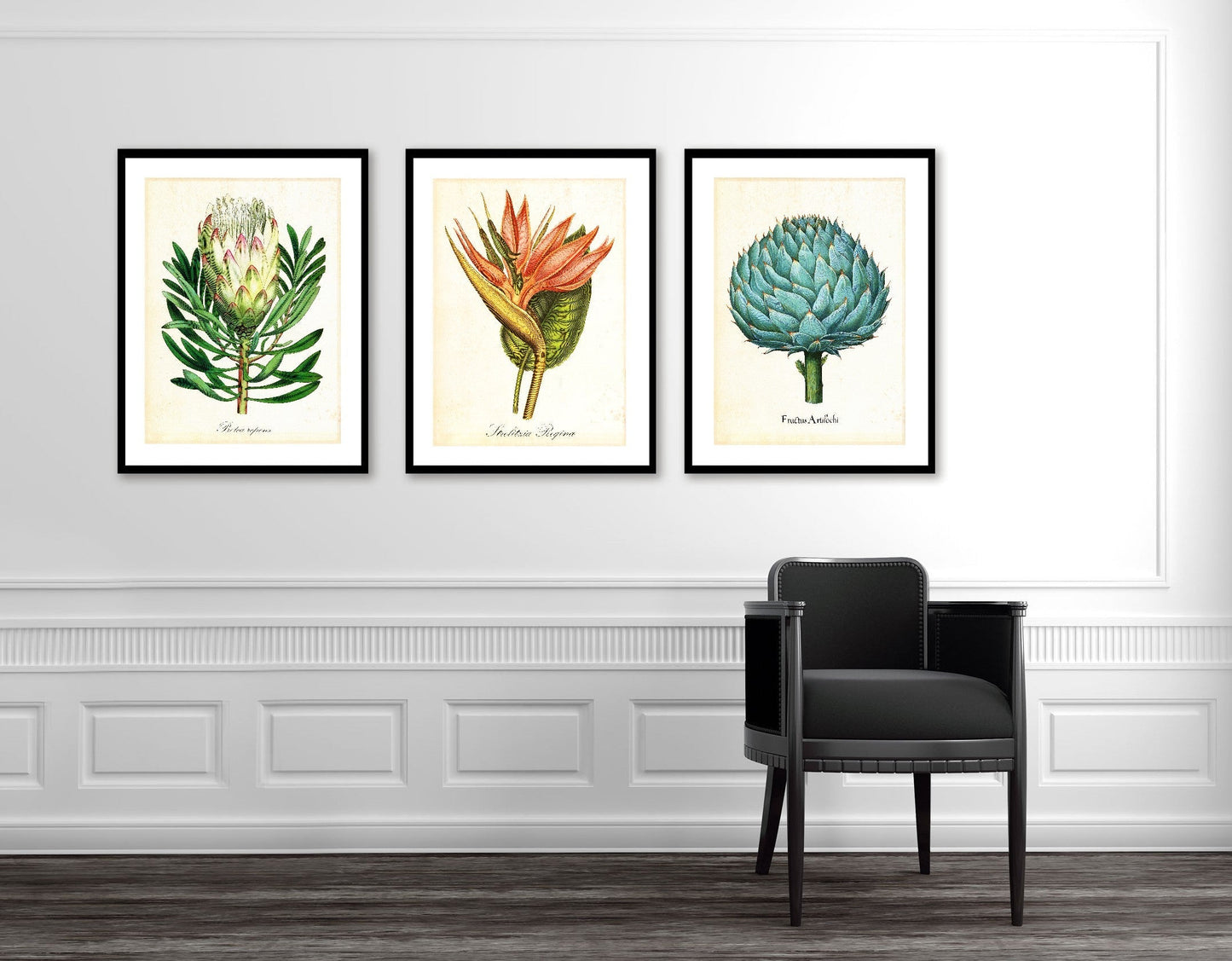 Pl Artichoke 2-botanical, print-BLUE SHAKER
