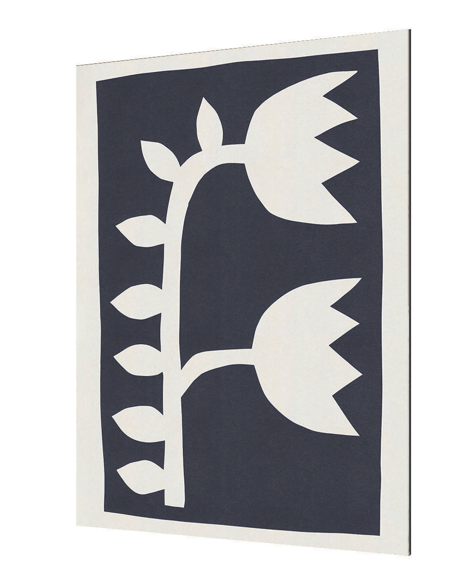 Alisa Galitsyna - Black Tulips 2