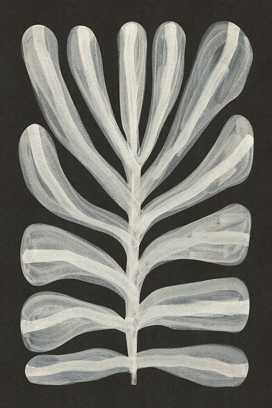 Alisa Galitsyna -  Monochrome Plant