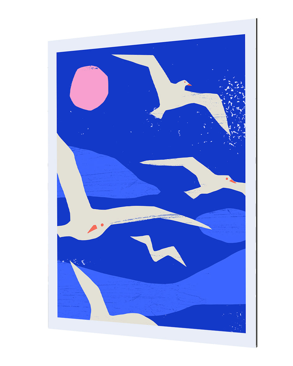 Ana Zaja Petrak - Seaguls