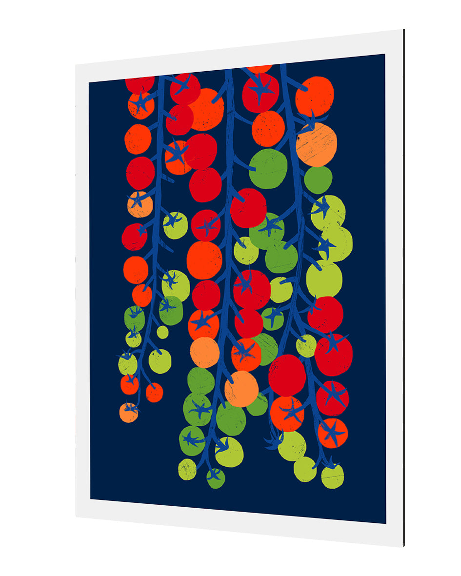 Ana Zaja Petrak - Tomatoes