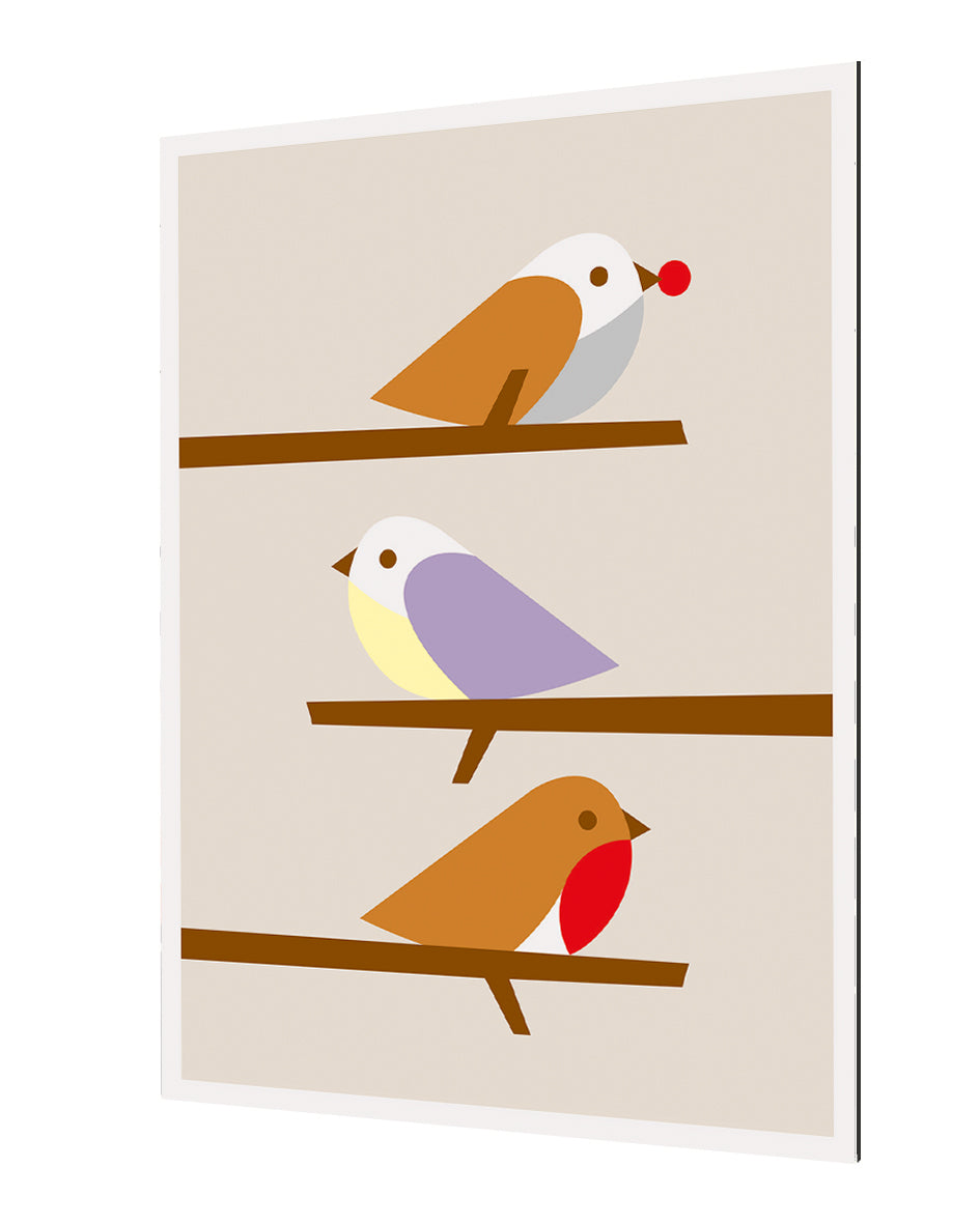 Dicky Bird - 3 Birds