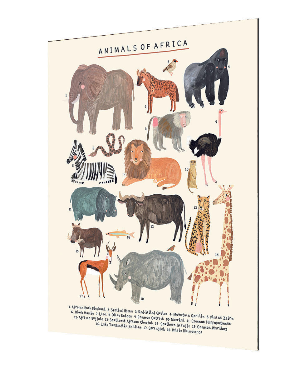 Darcy Olley - Animals Of Africa