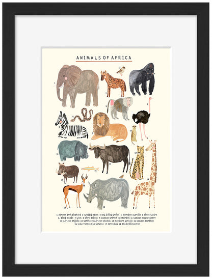 Darcy Olley -  Animals Of Africa