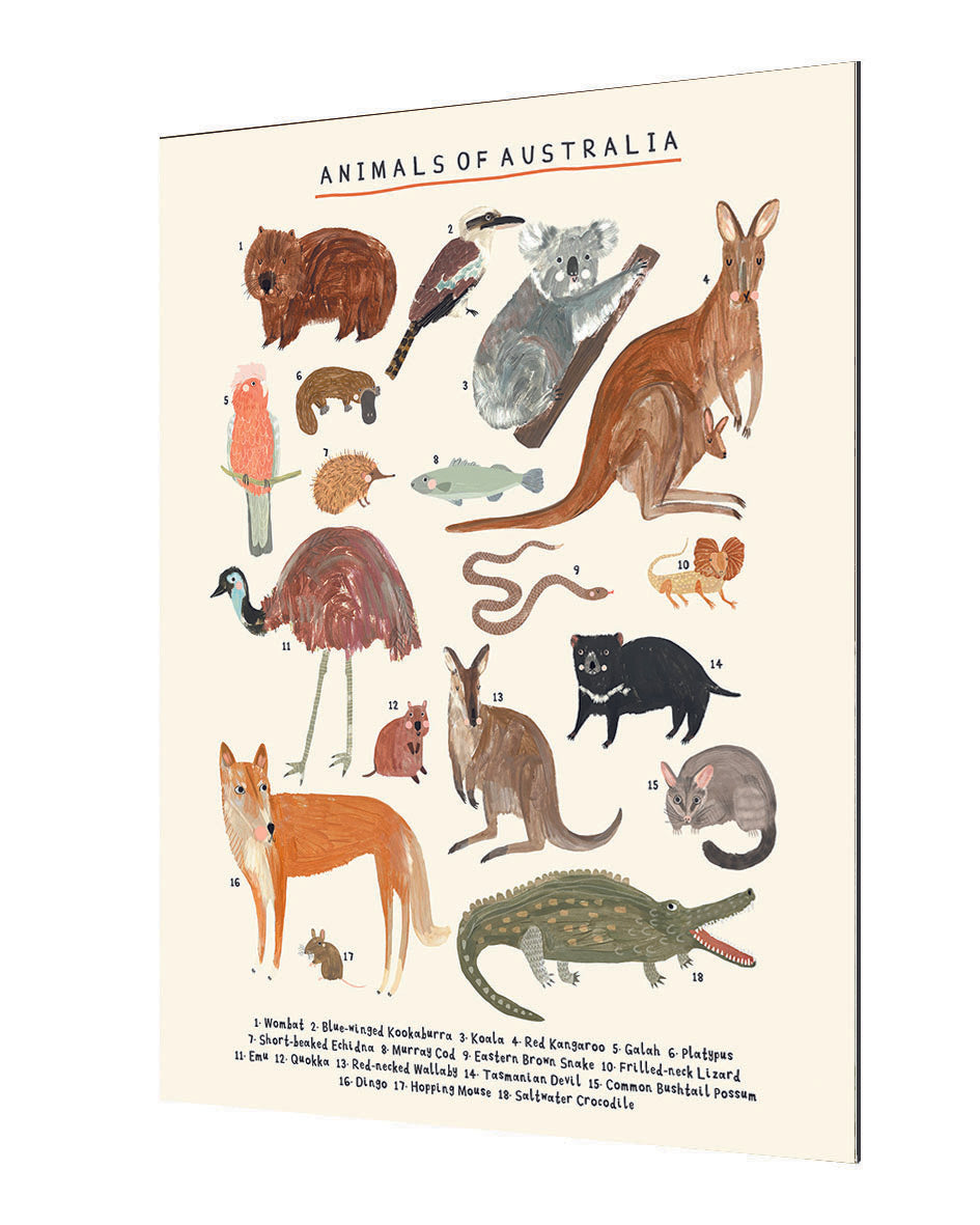 Darcie Olley - Animals Of Australia