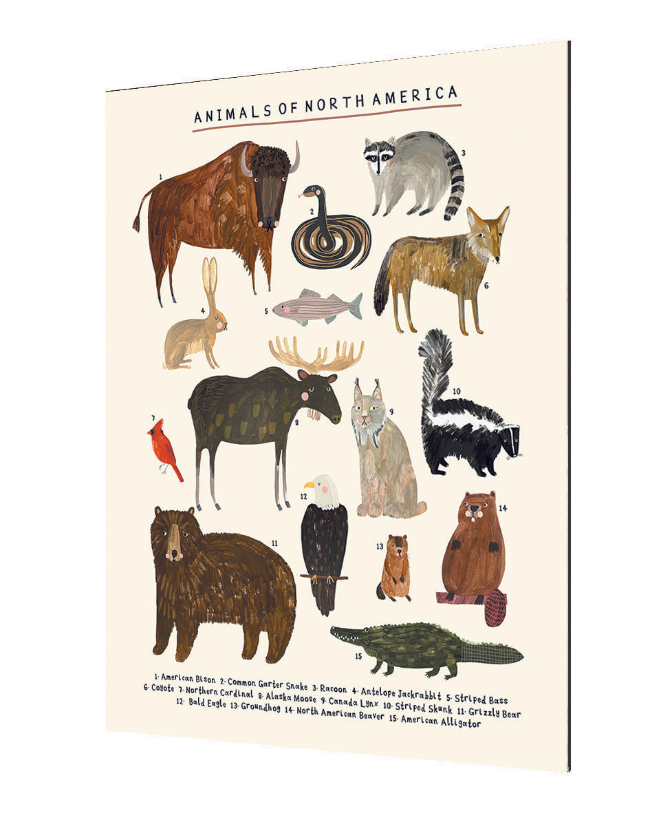 Darcie Olley - Animals Of North America