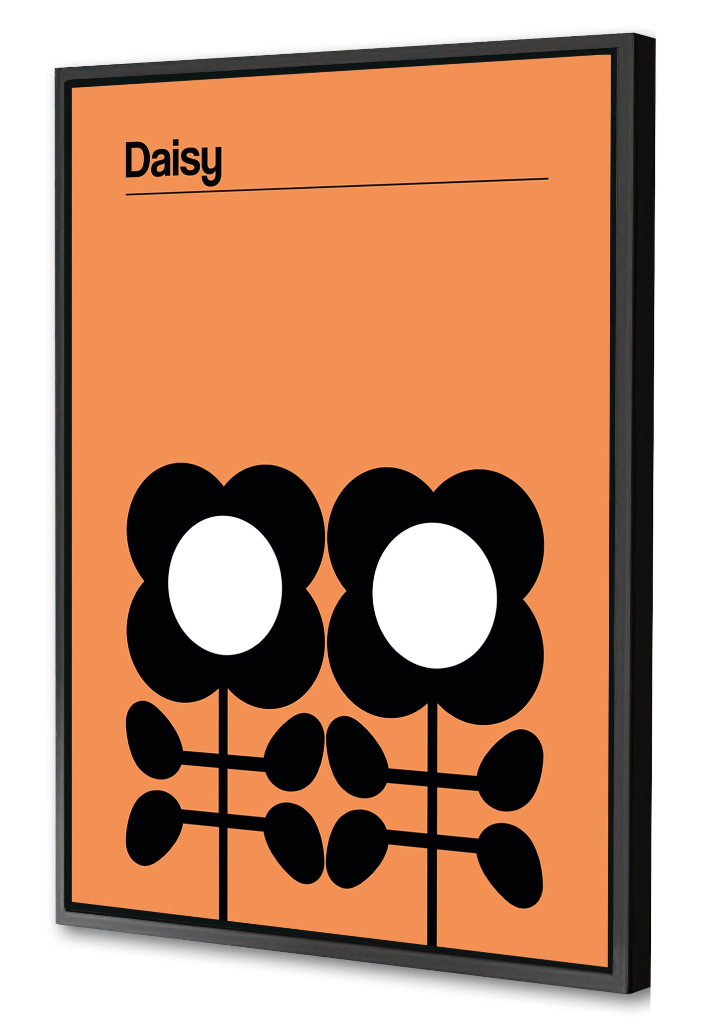 Frances Collett - Daisy Mellow Yellow