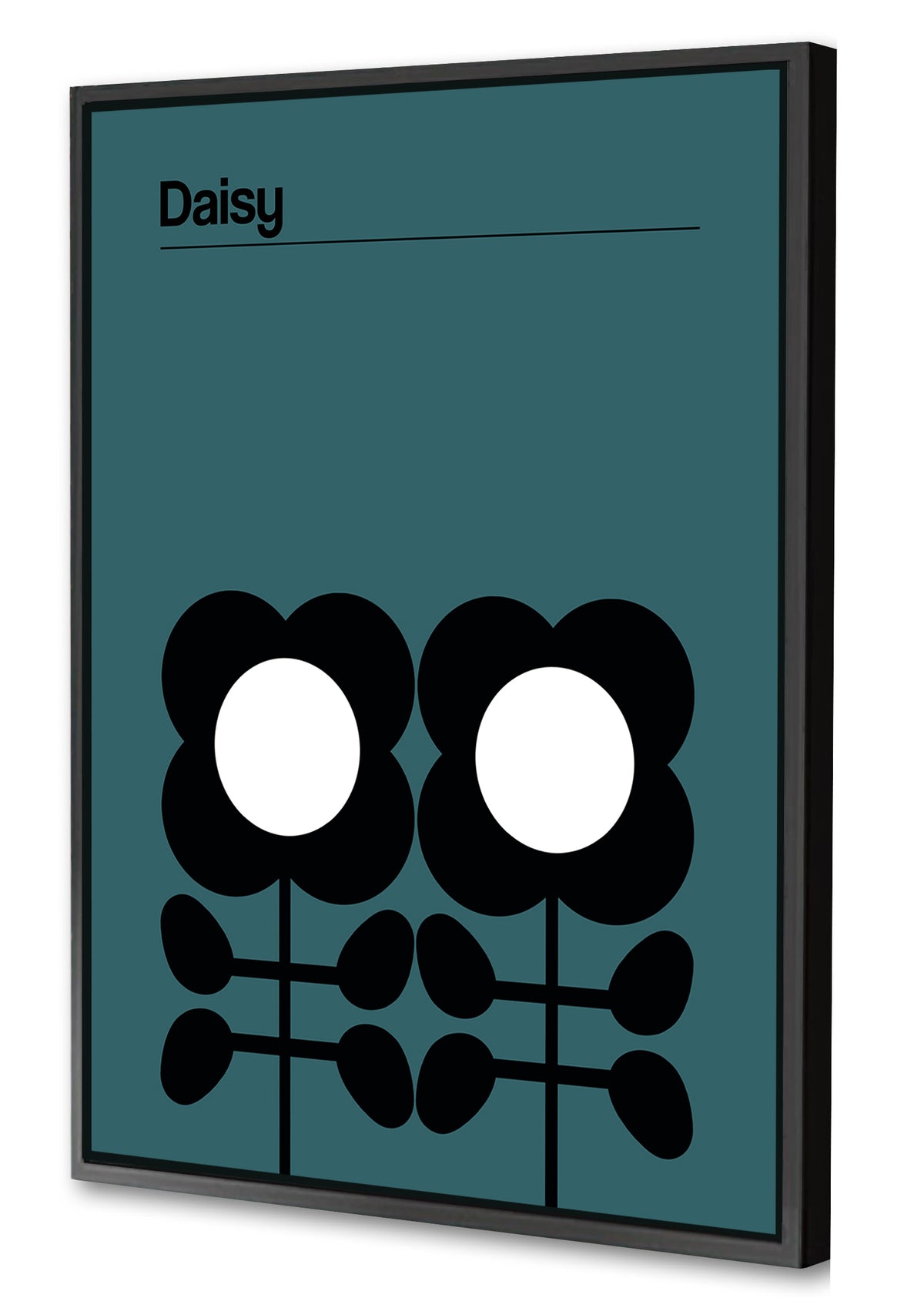 Frances Collett - Daisy Teal