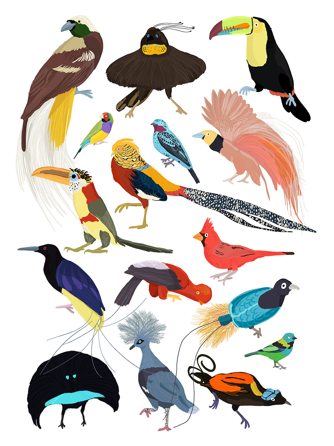 Hanna Melin -  Birds Of Paradise