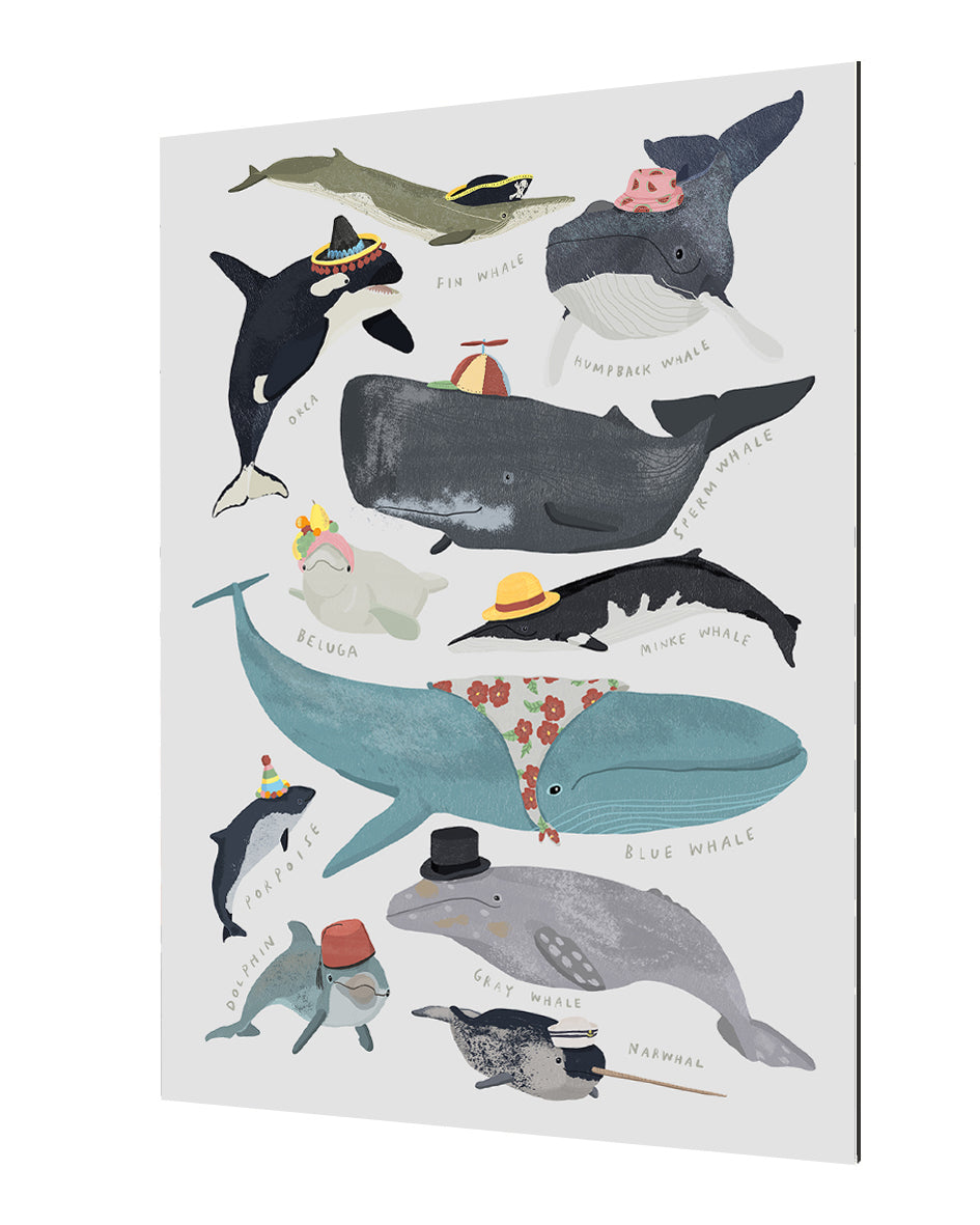 Hanna Melin - Whales In Hats